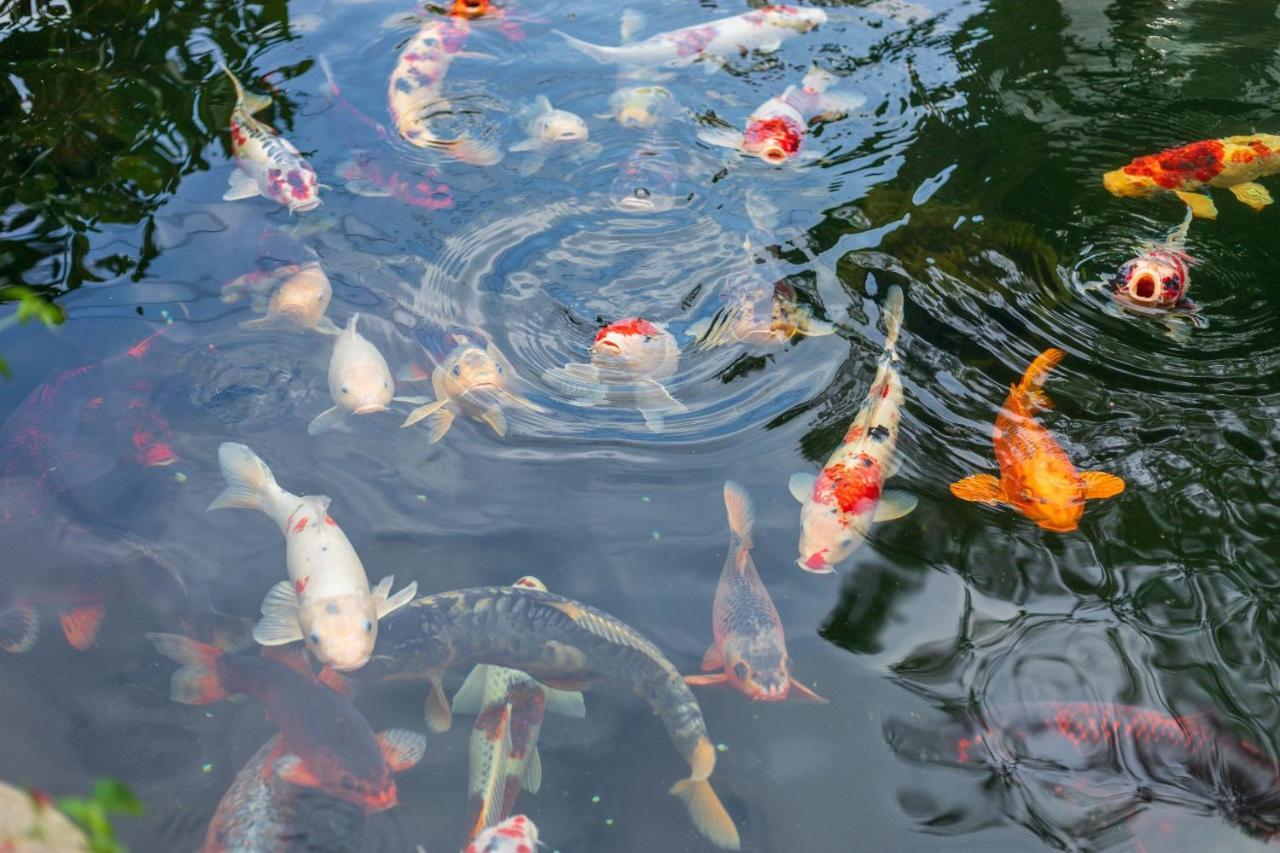Villa Hotel Du Thuyen ดาลัด ภายนอก รูปภาพ