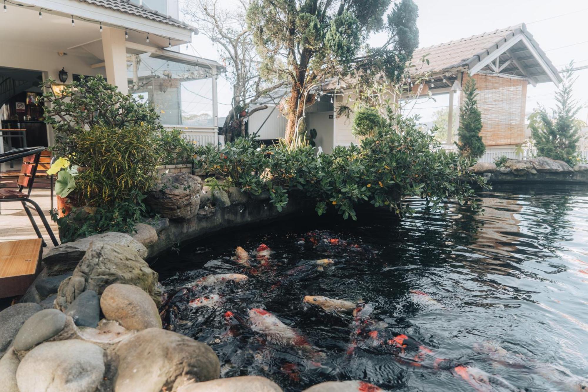 Villa Hotel Du Thuyen ดาลัด ภายนอก รูปภาพ